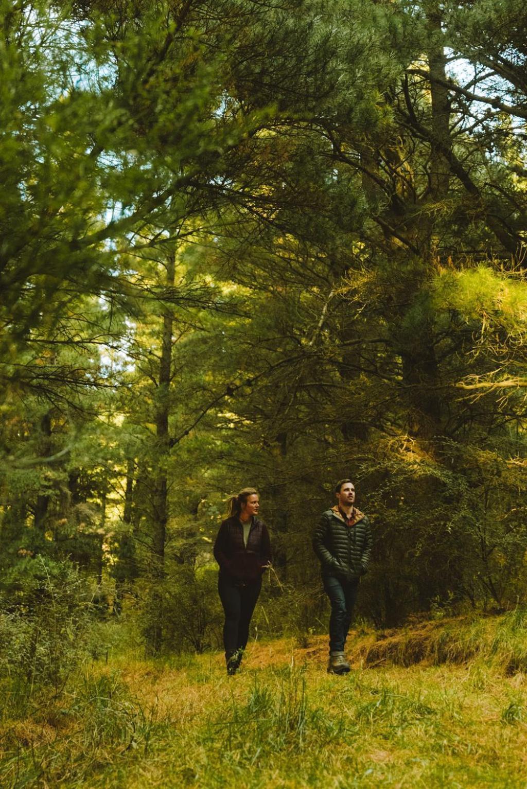 Willa Montrose Estate Mount Hutt Zewnętrze zdjęcie